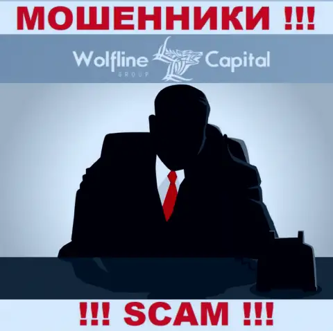 Не тратьте время на поиск инфы об непосредственном руководстве Wolfline Capital, абсолютно все данные тщательно скрыты