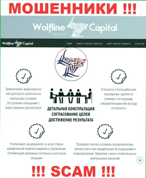 Не стоит верить, что область деятельности Wolfline Capital - Финансовый консалтинг законна - это кидалово