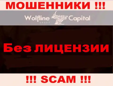 Невозможно нарыть сведения о номере лицензии интернет-мошенников Wolfline Capital - ее просто не существует !