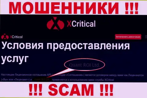 Мошенническая организация X Critical принадлежит такой же опасной организации Quant ROI LTD