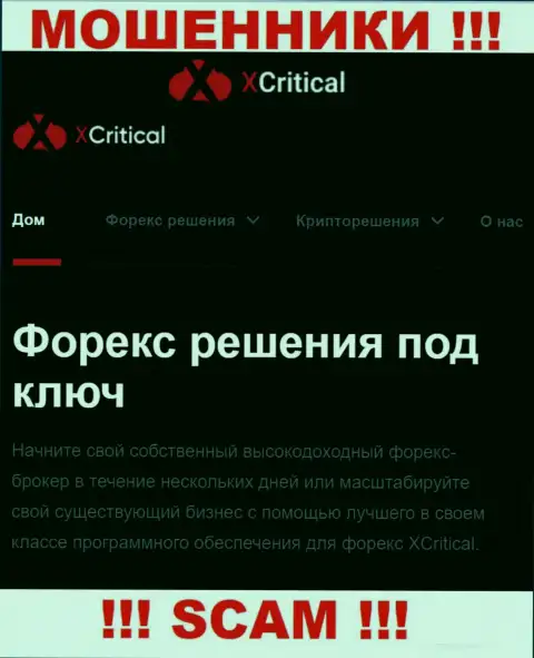 X Critical - это сомнительная организация, сфера работы которой - ФОРЕКС