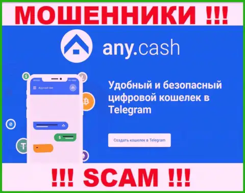 Any Cash - это internet-аферисты, их деятельность - Виртуальный кошелек, нацелена на воровство финансовых средств людей