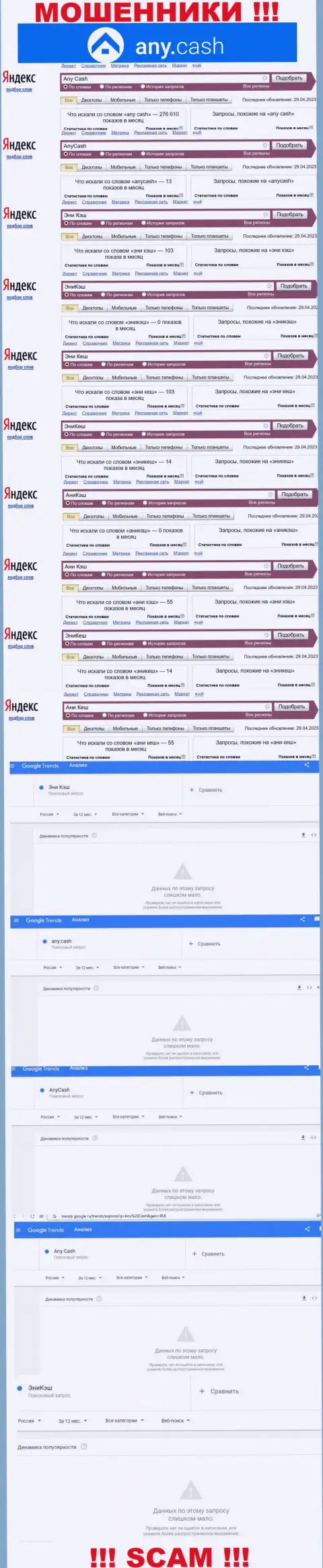 Скрин статистических показателей поисковых запросов по мошеннической конторе Any Cash